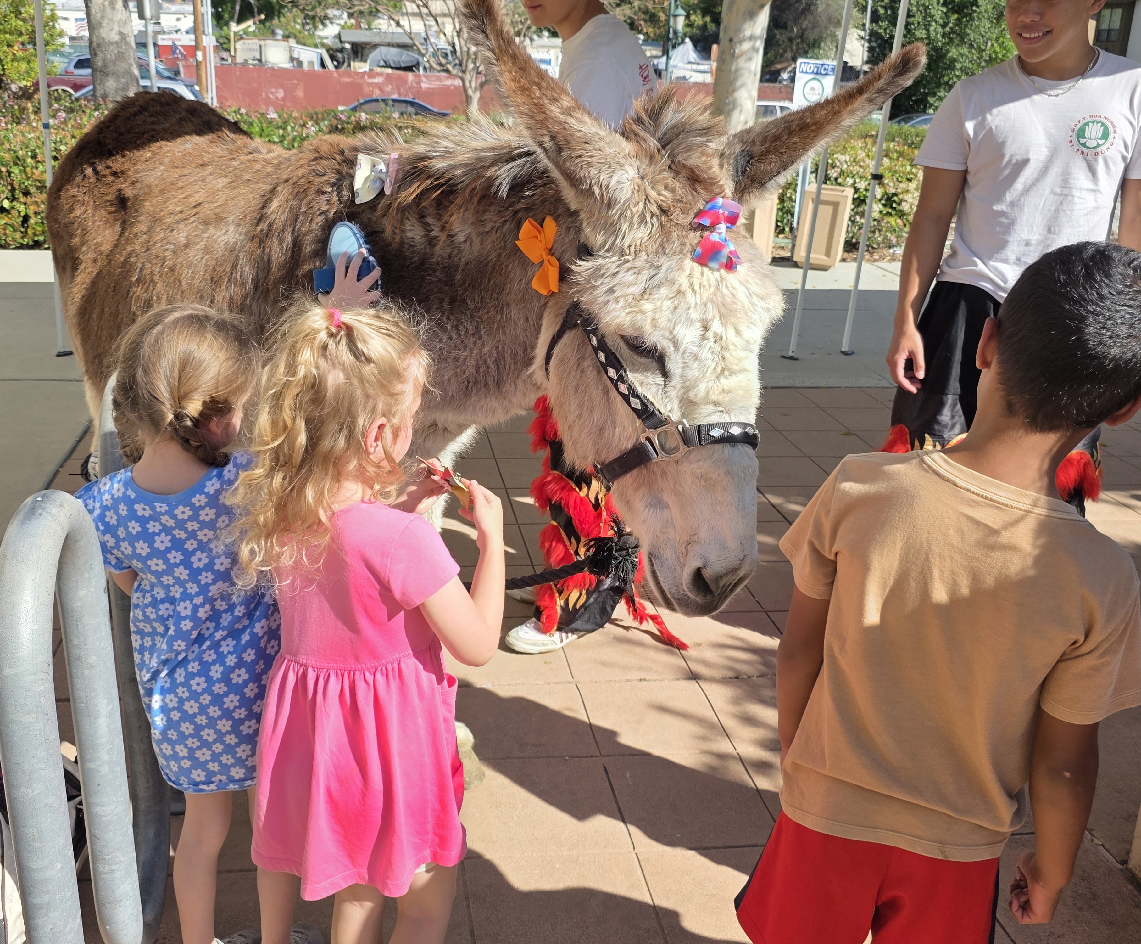 Sasha the donkey waits patiently while kids decorate her fur...