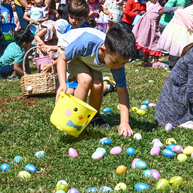 Easter egg hunts