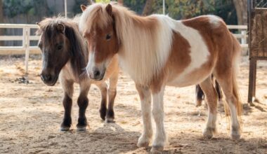 March 19 – April 2 – San Diego Union-Tribune