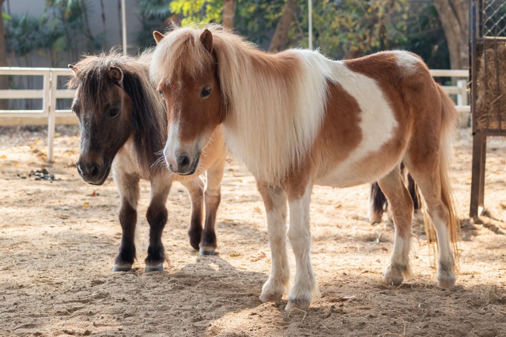 March 19 – April 2 – San Diego Union-Tribune