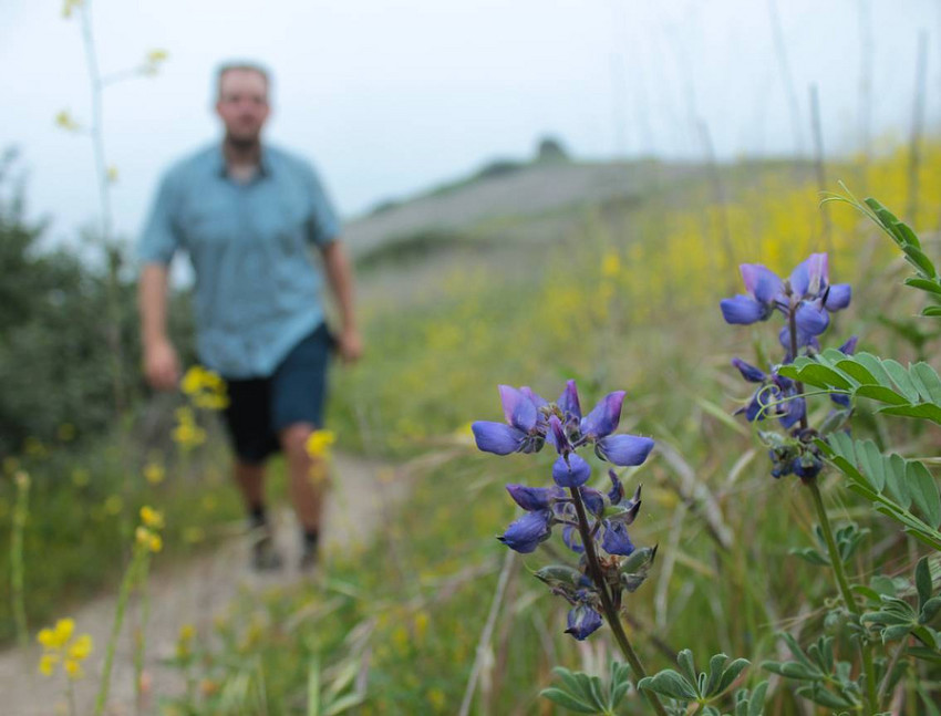Palos Verdes Peninsula Land Conservancy leads a Nature Walk through...