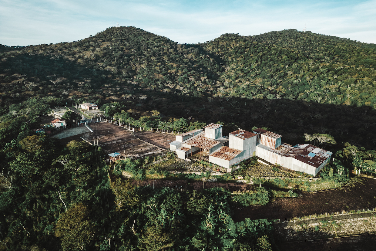 Painted Leopard Coffee El Salvador