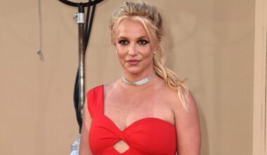 Britney Spears arrested and released, California sheriff's records show, though charge is not clear