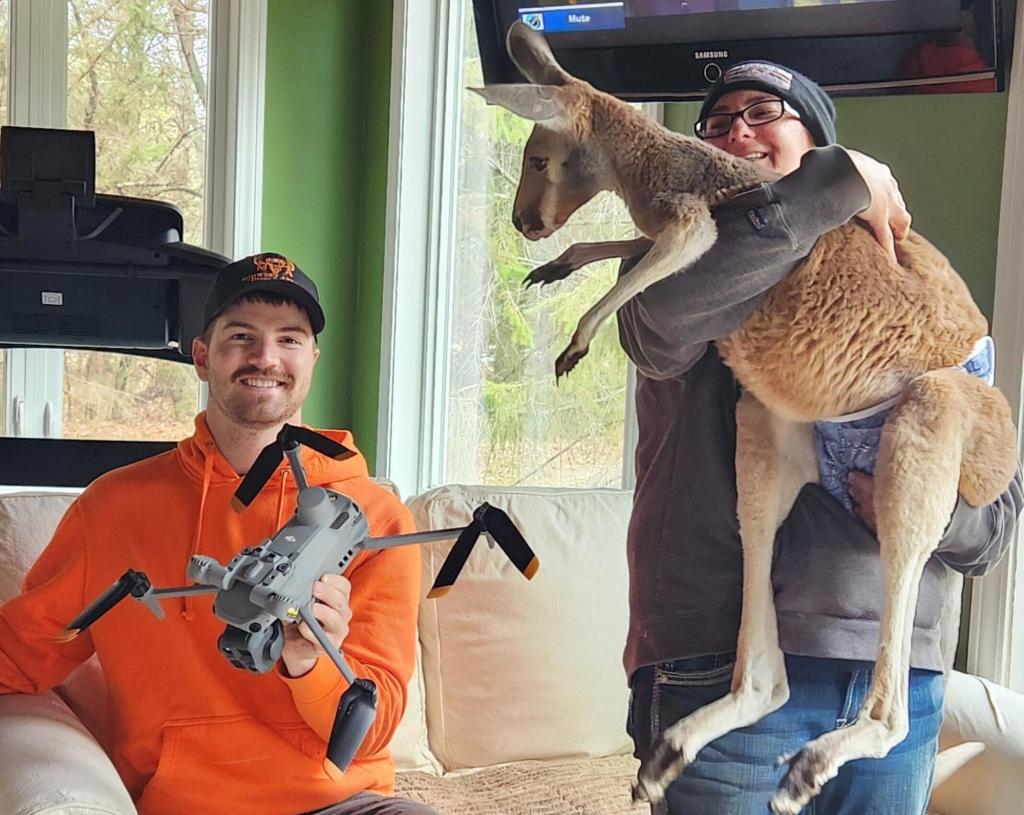Chesney the kangaroo scales tall fence, flees petting zoo for 3 days