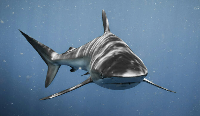 Photo: Chase Baker // Unsplash