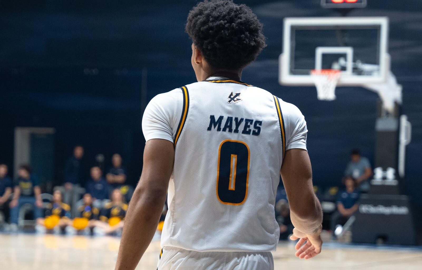 Men’s basketball rallies to fourth straight win against Bakersfield – The UCSD Guardian