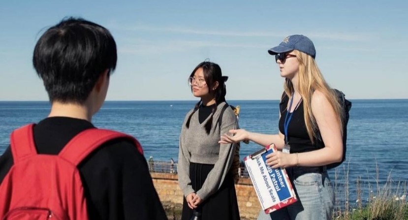 UCSD Pup Patrol is back to help educate the public at the Children’s Pool – San Diego Union-Tribune