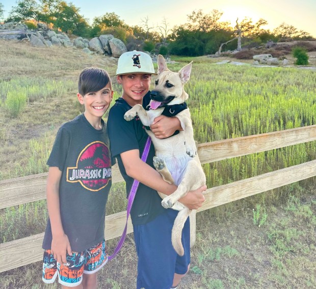 Thomas Martin is shown hiking a trail with his little brother, Benjamin, and his rescue dog, Konan, who is named after an anime character. (Courtesy Thomas Martin)
