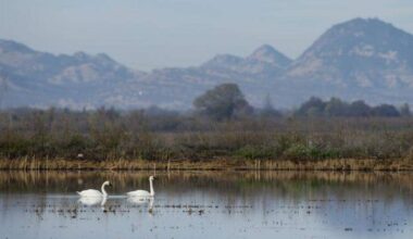 Sutter Buttes name-change proposals remain in limbo