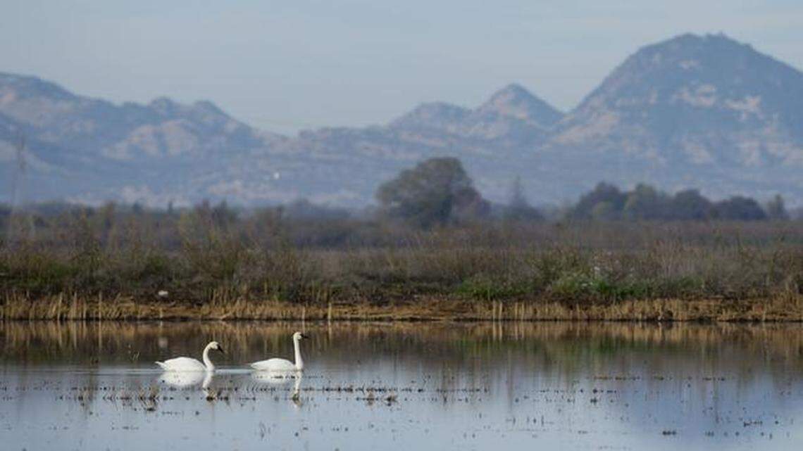 Sutter Buttes name-change proposals remain in limbo