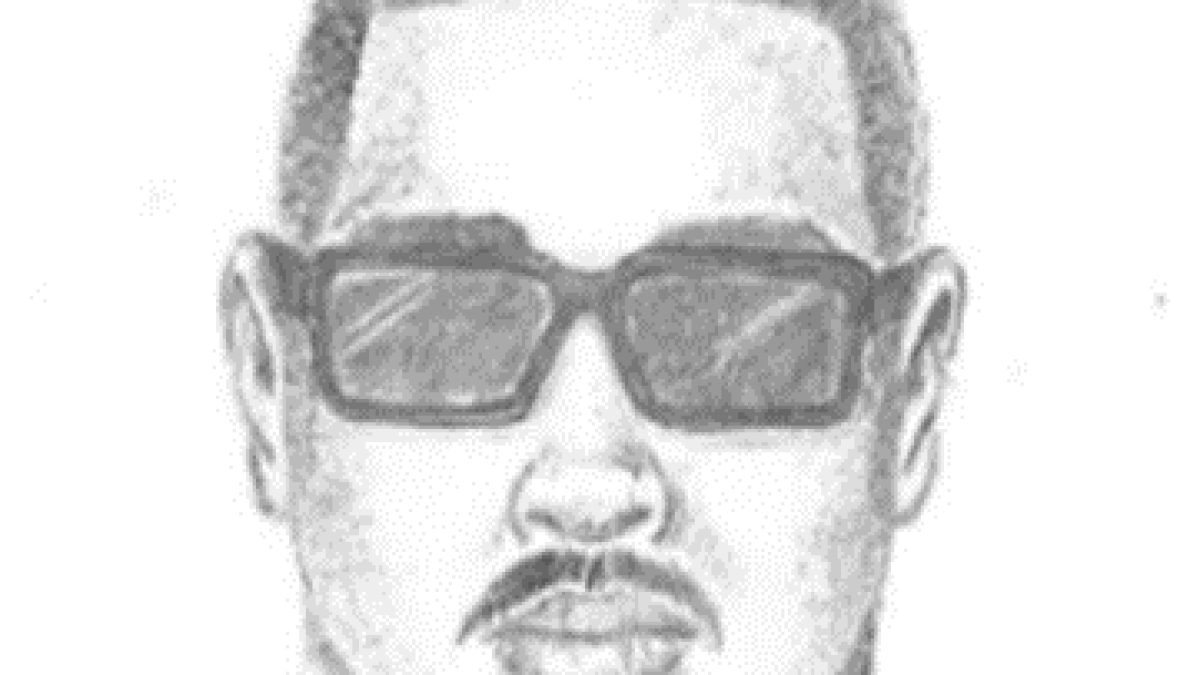 LAPD releases sketch of North Hills kidnapping suspect – NBC Los Angeles