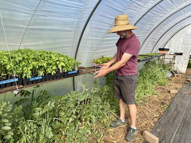 Randy Stannard of Root 64 in Tallac Village shows how temporary tunnels are used on the farm to protect new crops and give more heat. 