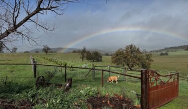 California Agave Symposium Comes to Santa Barbara