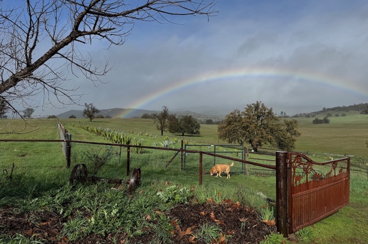 California Agave Symposium Comes to Santa Barbara