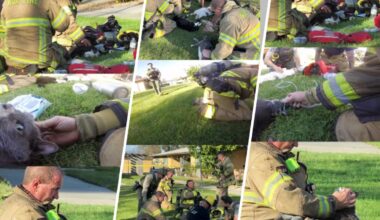 Riverside firefighters save cats with oxygen after apartment fire – NBC Los Angeles