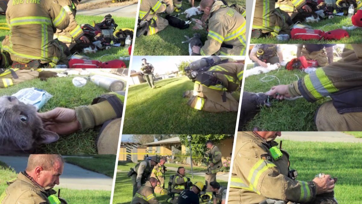 Riverside firefighters save cats with oxygen after apartment fire – NBC Los Angeles