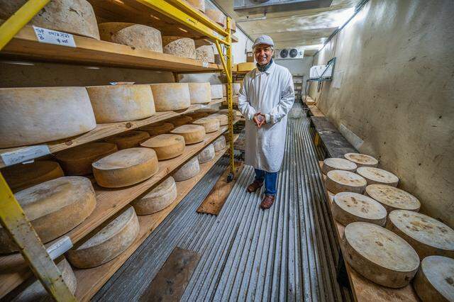 Abhinav Anand, founder of JUST Creamery, stands among wheels of Portuguese Topo, Gouda and Parmesan in the creamery’s cheese cave at his production facility on Wednesday, Feb. 18, 2026, in Wilton. 