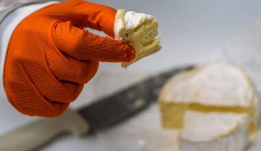 Raw milk paneer and Topo cheese earn Good Food semifinal