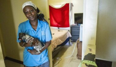 Angel Thomas, a resident at the Alder Grove complex off Broadway, holds her puppy, Cinnamon, on the second floor of her three bedroom apartment on Thursday, Oct. 23, 2025. A recent report by SHRA estimates renovations on Marina Vista/Alder Grove could exceed $1 billion.