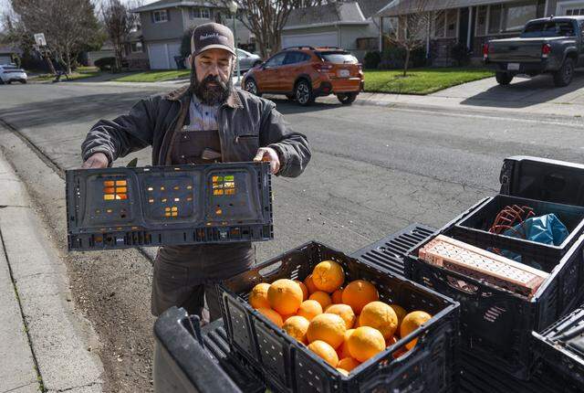 Matthew Ampersand, founder of Community Fruit based in Oak Park, loads oranges that his team picked in River Park on Monday, Feb. 23, 2026.