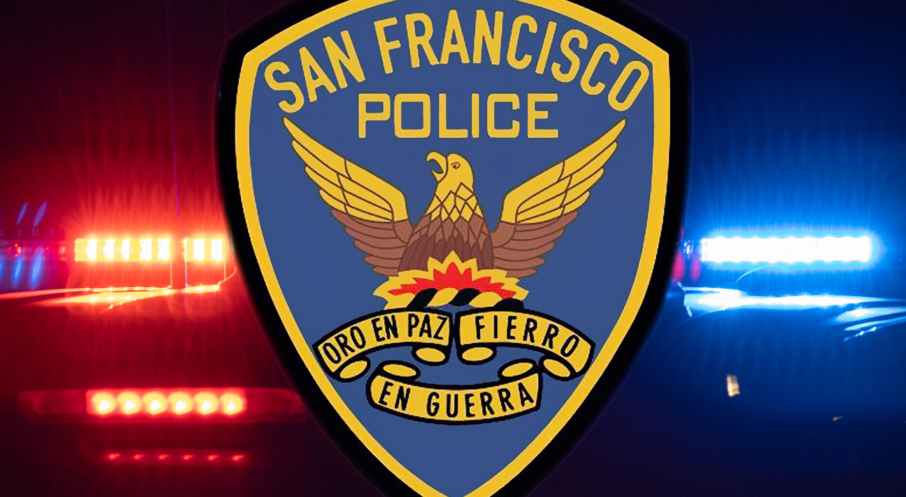 Mountain View man arrested after fatal San Francisco car crash