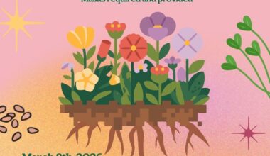 Health and Healing by and for Sacramento’s BIQTPOC Community – The American River Current