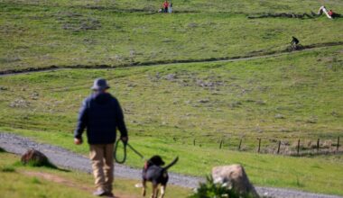 Want to skip the $6 entrance fee to a Santa Clara County park? Your local library has the answer – East Bay Times