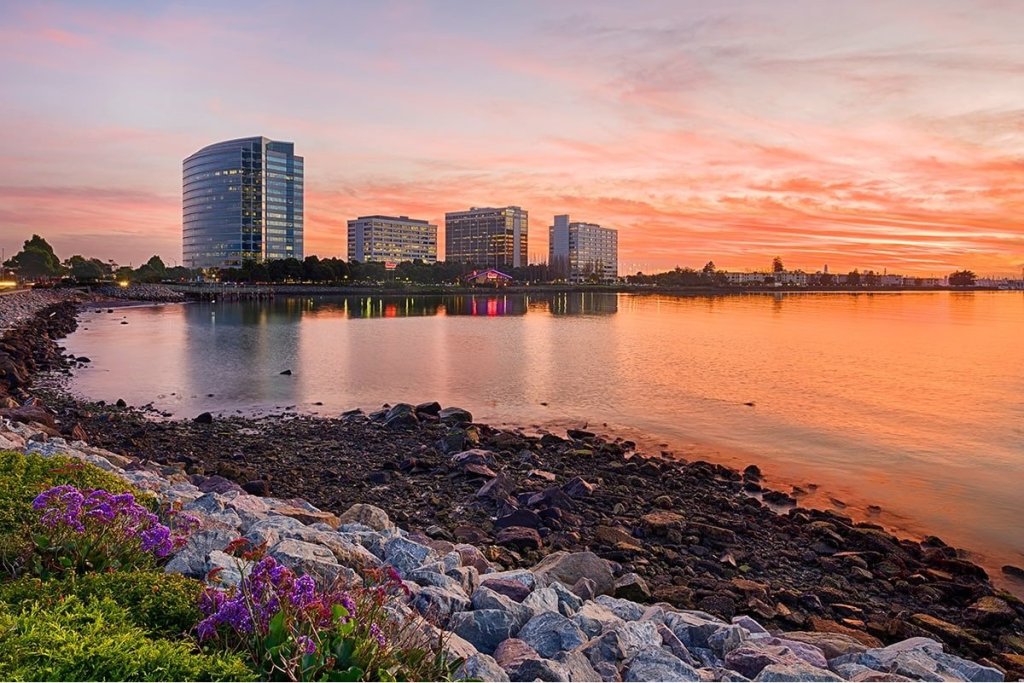 Emeryville woman charged with groping teen girl, biting police officer's head