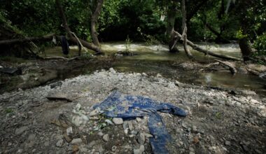 Man claimed he was digging for treasure, high on meth, in East Oakland when he found severed human legs