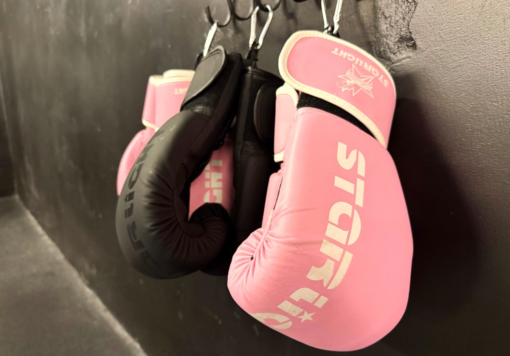 Pink Lab gym packs a punch for Bay Area women – The Mercury News