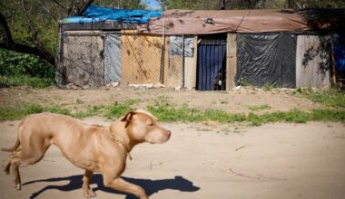 A timeline – East Bay Times