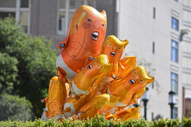 President Trump balloons peek behind a bush during the No Kings Protest in Oakland, Calif., on Saturday, March 28, 2026. (Jose Carlos Fajardo/Bay Area News Group)