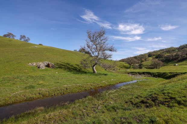 The Peninsula Open Space Trust, a nonprofit environmental group based in Palo Alto, purchased Mead Ranch in Morgan Hill, Calif., as seen on Friday, Feb. 27, 2026. The 1,921-acre property between San Jose and Morgan Hill had been owned by members of the Bechtel family and sold for $24.3 million. (Ray Chavez/Bay Area News Group)