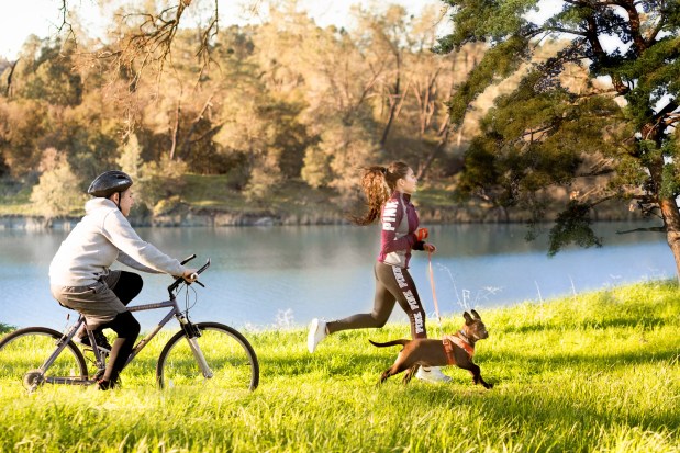 Waterfront cycling and dog-friendly trails are abundant at the Folsom Lake State Recreation Area. (Courtesy Visit Folsom)