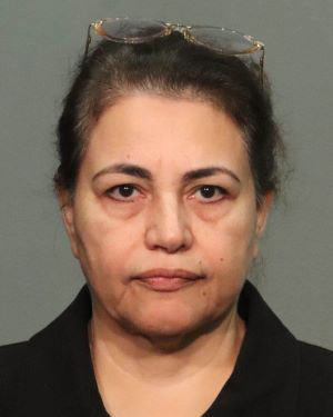 Shahin Gheblehshenas, 64, co-owner of an Almaden-area daycare where two children drowned in a pool, has been charged along with daughter Nina Fathizadeh, 41, with three counts of felony child endangerment. (San Jose Police Department)