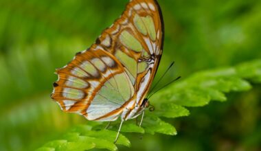 March 23-27 – San Diego Union-Tribune