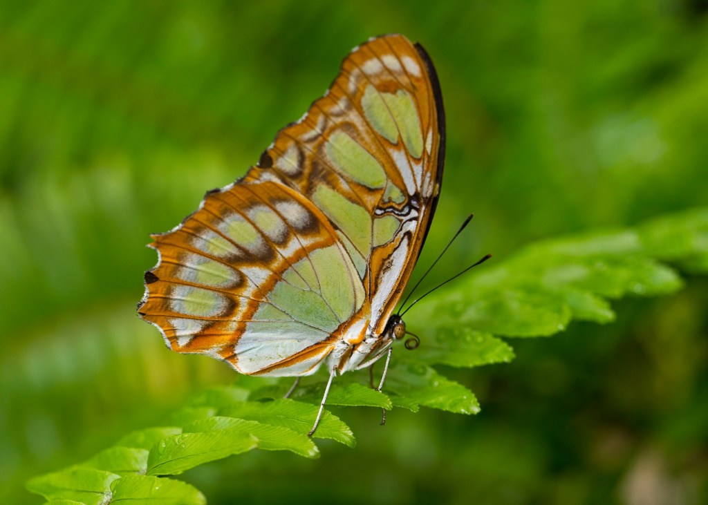 March 23-27 – San Diego Union-Tribune