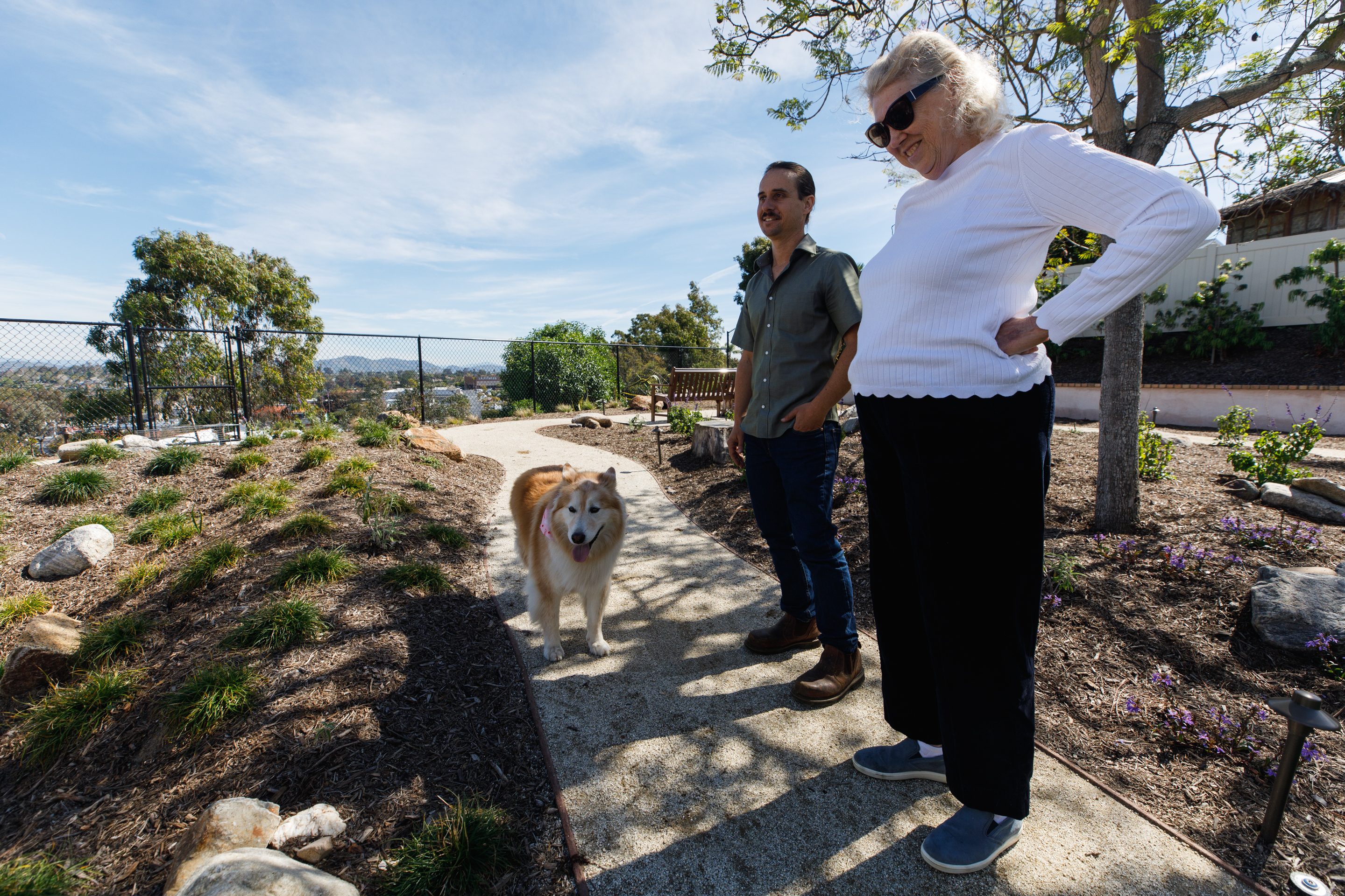 You can âwrite your own narrativeâ on a dog-friendly yard,...