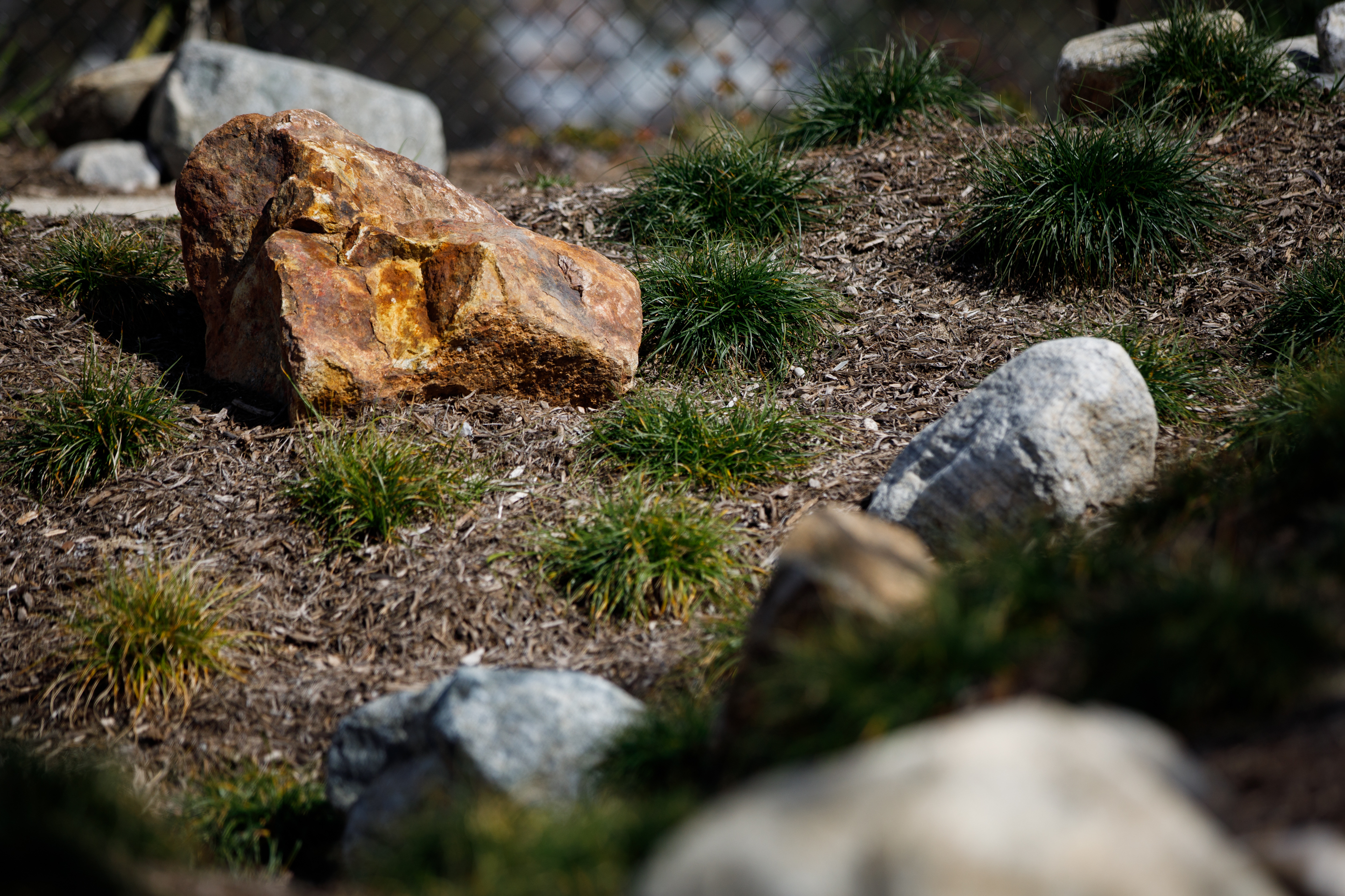 Boulders that were already on site were repurposed for display...