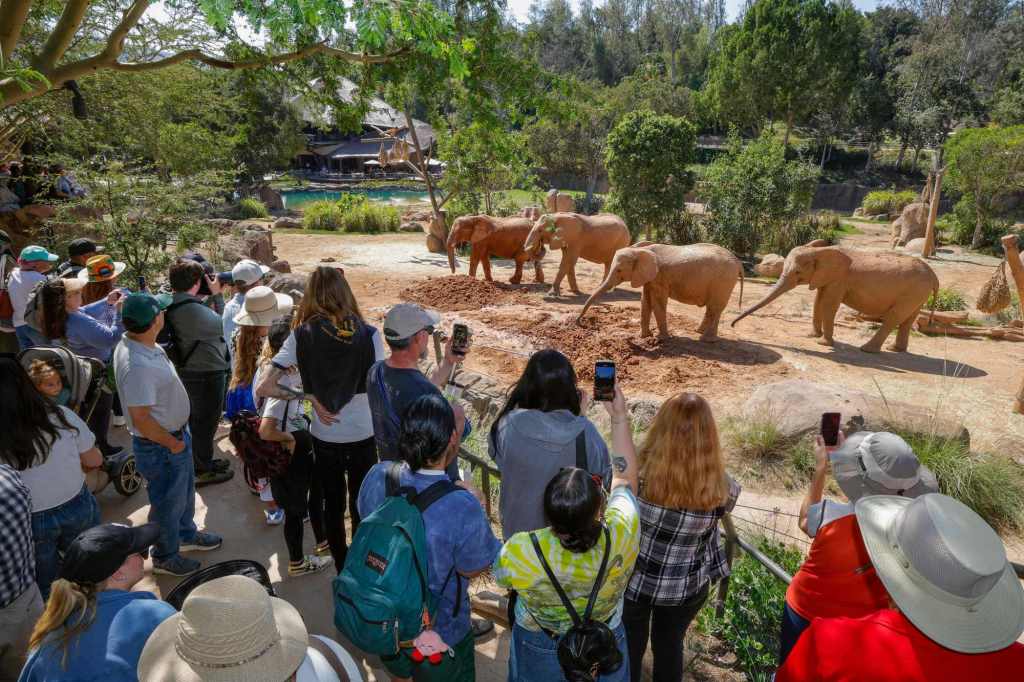 ‘They are so happy’ – San Diego Union-Tribune