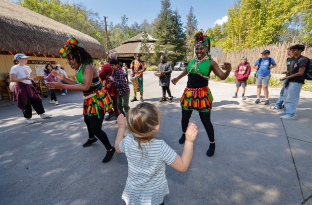 March 3, 2026_San Diego_On opening day of Elephant Valley at San Diego Zoo Safari Park the Tanzanian Dancers perform with park visitors. CHARLIE NEUMAN / FOR THE U-T