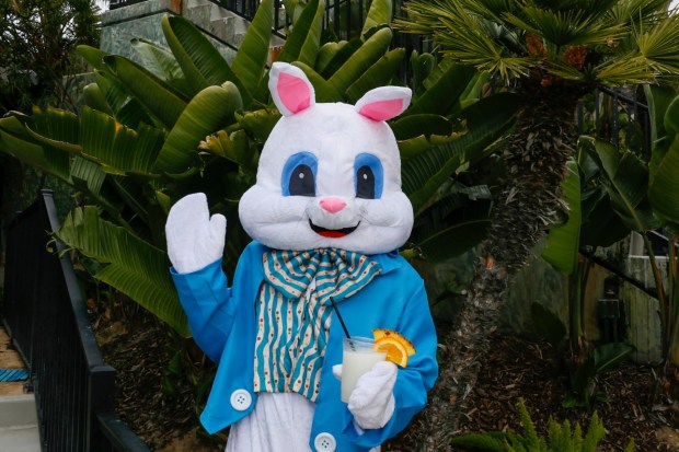 The Hyatt Regency Mission Bay Spa & Marina gets a visit from the Easter Bunny. (Hyatt Regency Mission Bay Spa & Marina)