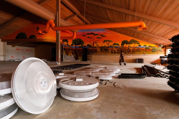 San Diego, California - February 19: This mural, "Wild Beauty of the Savannahs," by Julia Anthony, will be kept at on the second floor of the Escondido Public Library on Thursday, February 19, 2026. The library is expected to reopen in May 2026. (Kristian Carreon / The San Diego Union-Tribune)