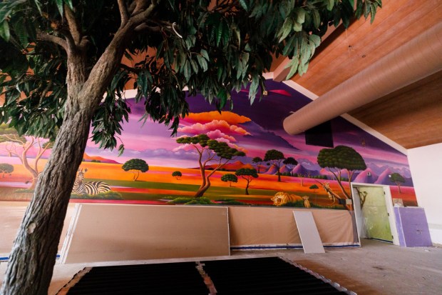 San Diego, California - February 19: This mural, "Wild Beauty of the Savannahs," by Julia Anthony, will be kept at on the second floor of the Escondido Public Library on Thursday, February 19, 2026. The library is expected to reopen in May 2026. (Kristian Carreon / The San Diego Union-Tribune)