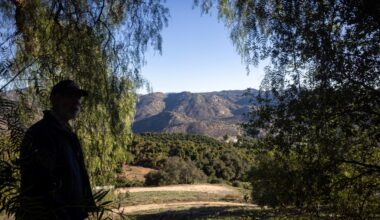 Escondido avocado growers hurt by some of San Diego's priciest water