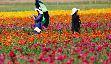 Things to do include concerts, classes, theater, lectures and more – San Diego Union-Tribune