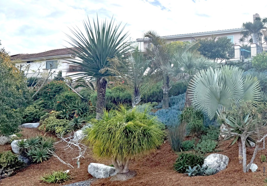 Key principles to planting, managing backyard slopes – San Diego Union-Tribune