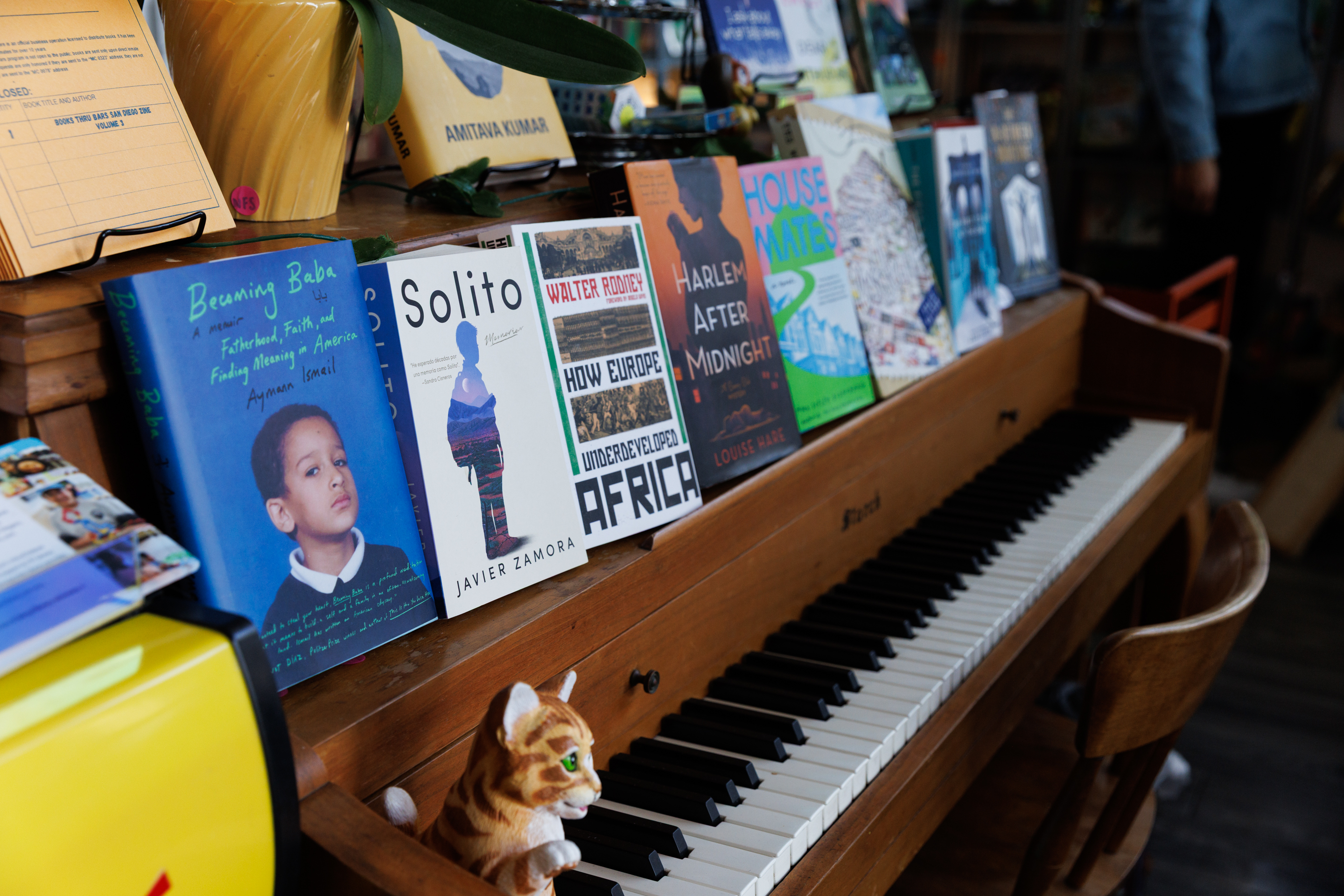 A variety of books are offered at LibÃ©lula Books &...