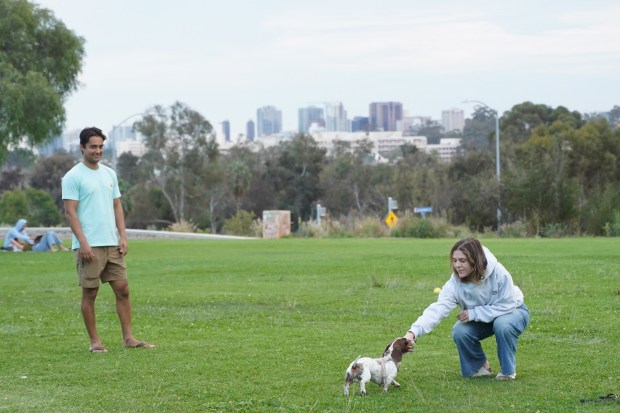 Emmarose Glaser, right, and Greg Donals, left, play with their dog at the Bird Park of Morley Field on Thursday, Nov. 13, 2025 in San Diego, CA. (Michael Ho / For The San Diego Union-Tribune)