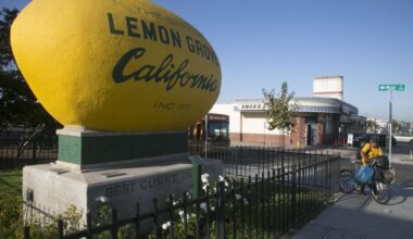 Lemon Grove repeals part of tenants' rights ordinance